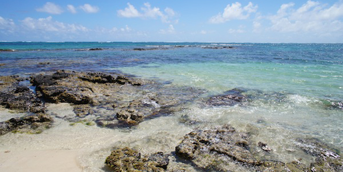 5 bonnes raisons d’aller à l’Ile Maurice