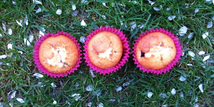 Muffins vanille & fruits rouges