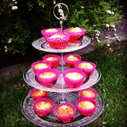 muffins vanille & fruits rouges