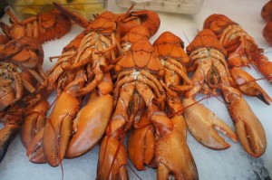 homards