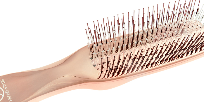 Scalp Brush