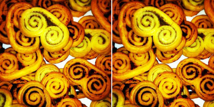 Des palmiers pour l’apéro