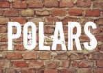 10 idées de polars-top